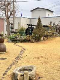 정원이 예쁜 군산 카페
