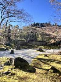 仙台松島円通院⛩️，靜謐的寺庙與美麗庭園