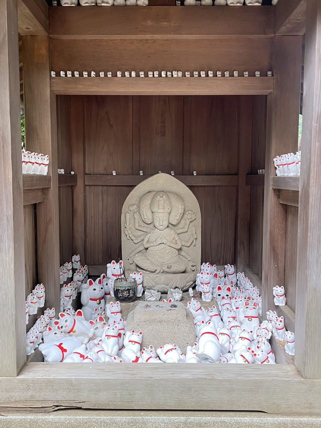 📍 Gotoku-ji Temple: สวรรค์ของคนรักแมวกวักในฤดูใบไ
