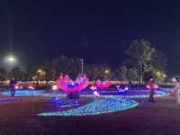 Charming Chiangmai Flower Festival