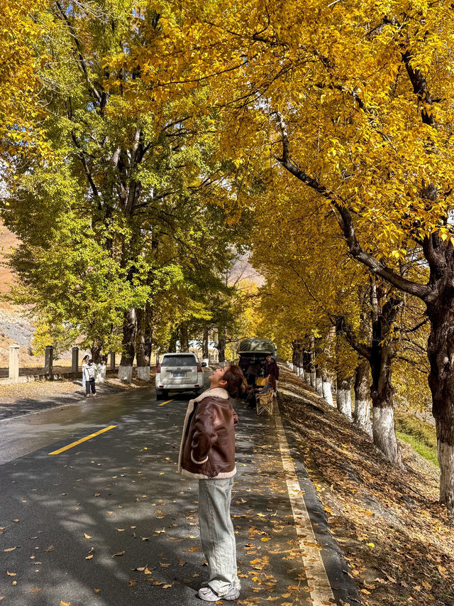 川西旅遊·秋天楓葉勝地新都橋