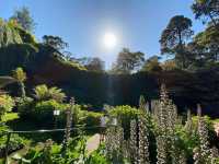 Enchanting Visit to the Sunken Gardens