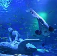 名古屋旅遊～名古屋水族館