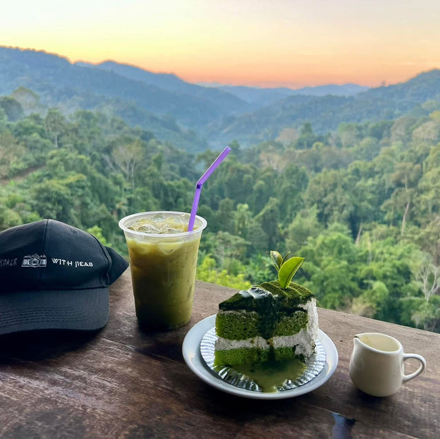 ไร่ชาลุงเดช อ.แม่แตง 🍃✨@CNX, TH