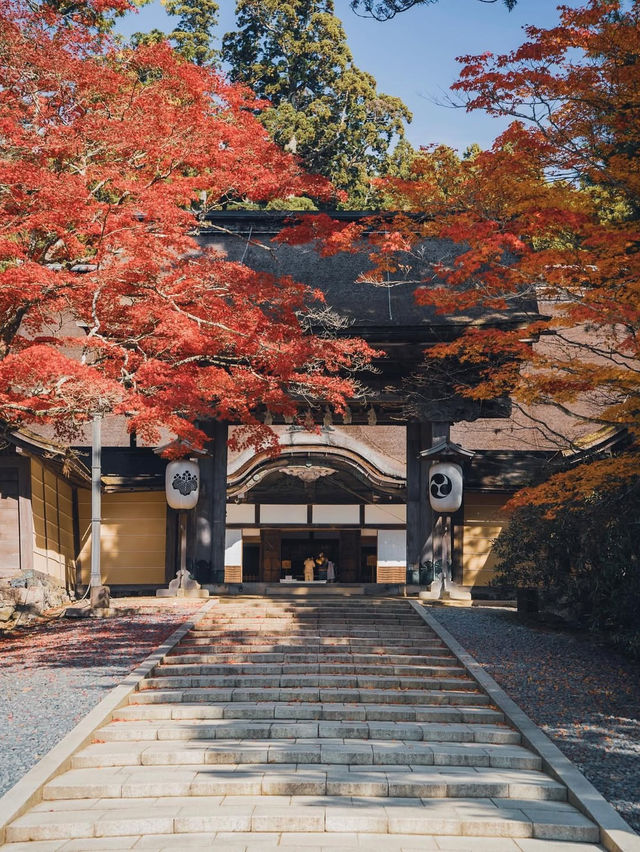 【高野山・金剛峯寺】紅葉の高野山おすすめスポット