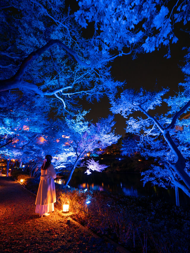 【無料で楽しめる！✨】八芳園のブルーライトアップが幻想的すぎる！！💡