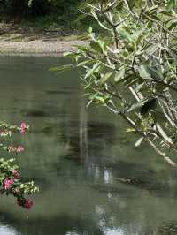 Mida Resort Kanchanaburi: A Peaceful Getaway