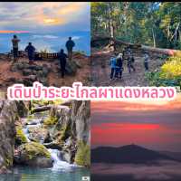 เดินป่าระยะไกลผาแดงหลวง