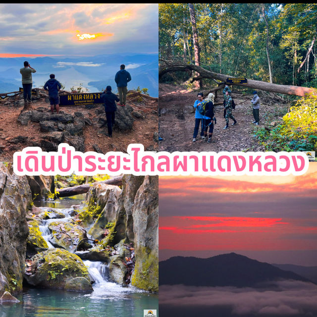 เดินป่าระยะไกลผาแดงหลวง