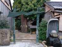Tottori : Mizuki Shigeru Road