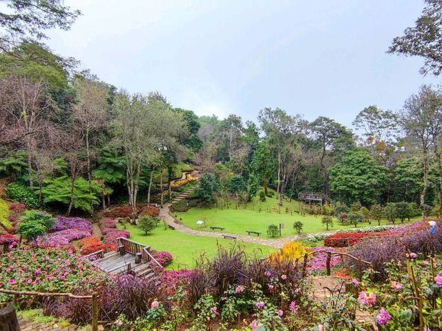 ชมสวนดอกไม้เชียงราย สวนรุกขชาติแม่ฟ้าหลวง