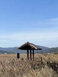Suncheon Bay Reserve ชุนชอน