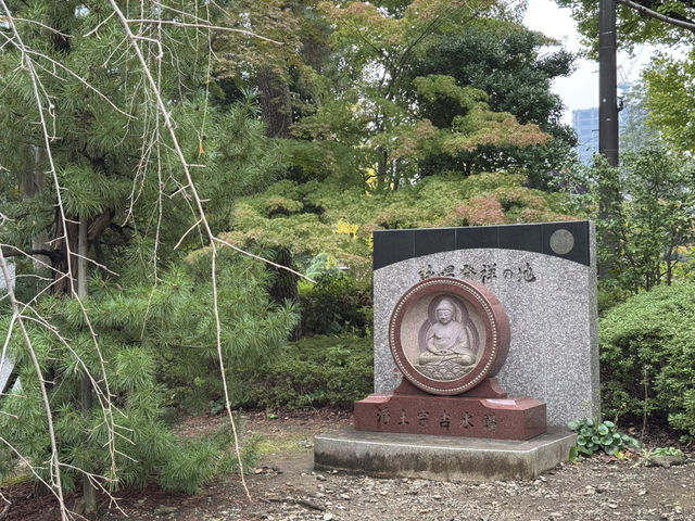東京 - 在增上寺的感動旅程 🌸