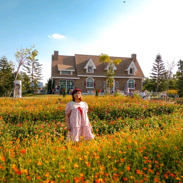 คาเฟ่โฮมมี่ สไตล์คอทเทจ🌻🌼