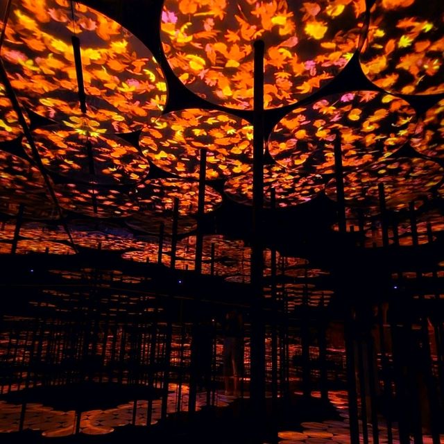 東京📍teamLab⭐️Borderless