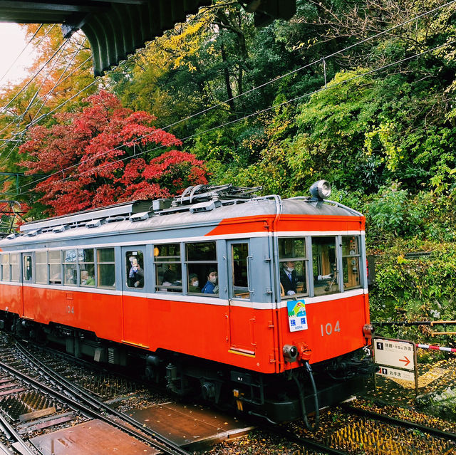 いつでも、何度でも訪れたい観光地 『箱根』🚇