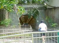 เดินเล่นในสวนที่ Fort Canning Park