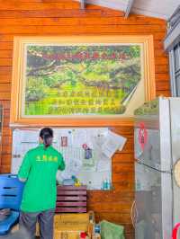 【台南】🌿穴場の絶景！四草緑色隧道で自然を満喫しよう🌿 