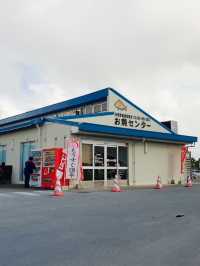 沖繩｜糸滿魚市場：漁港直送的鮮味天堂