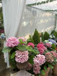 เที่ยว Seoul Botanic Park 