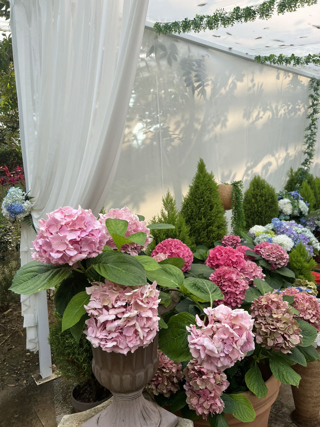 เที่ยว Seoul Botanic Park 