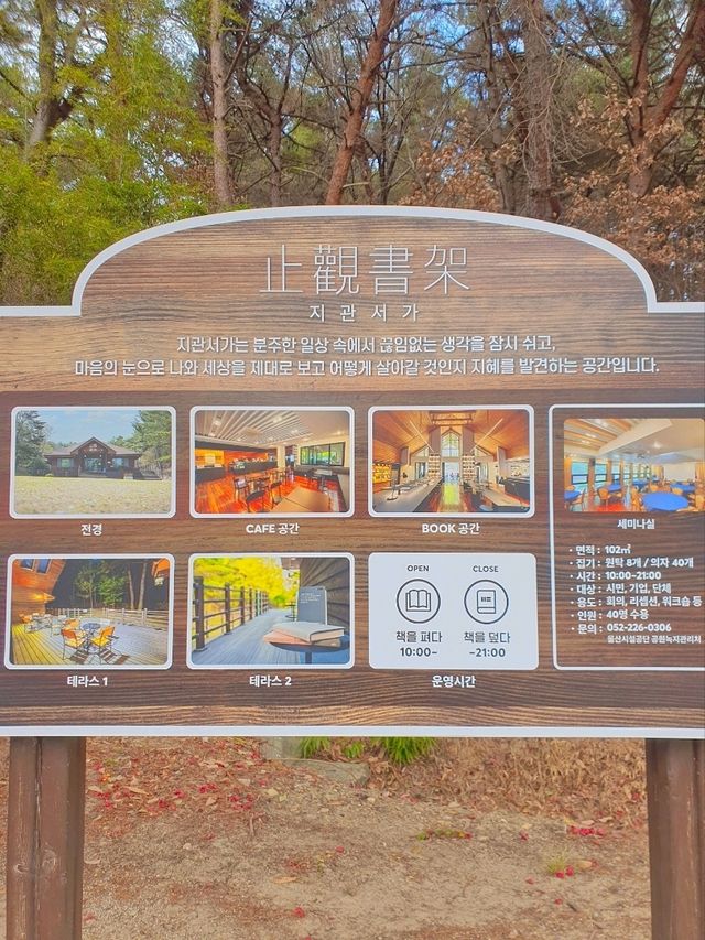 자연 속에서 만나는 감성적인 북카페, 지관서가📚🌿