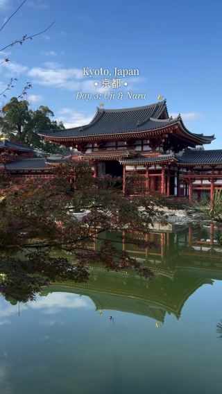 Uji & Nara: A Day of Matcha, Deer, and Scenic Views
