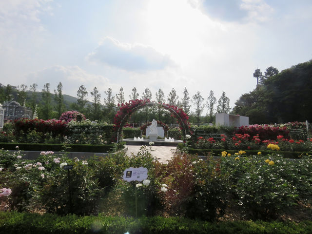 🇰🇷 首爾超美打卡樂園！