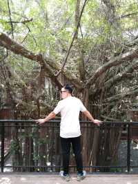 Urban Oasis Where Nature and Creativity Collide: The LINC KL