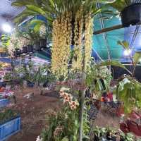 งานมีจฉาบานตำนานเขาสมิงครั้งที่4