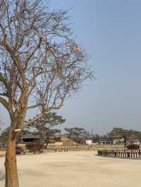 경주 여행가면 무조건 가야하는 ‘첨성대’