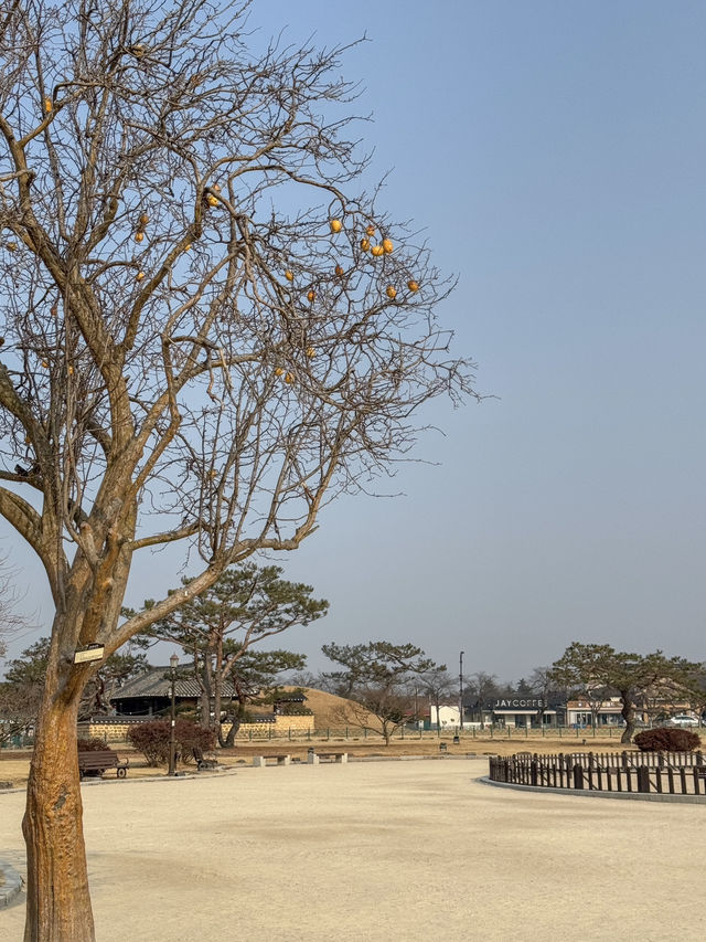 경주 여행가면 무조건 가야하는 ‘첨성대’