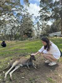 Up close & personal with furry friends! 