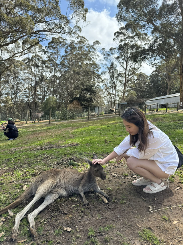 Up close & personal with furry friends! 
