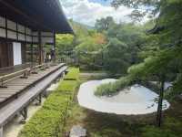 Eikando Temple: A Tranquil Escape in Kyoto’s Summer