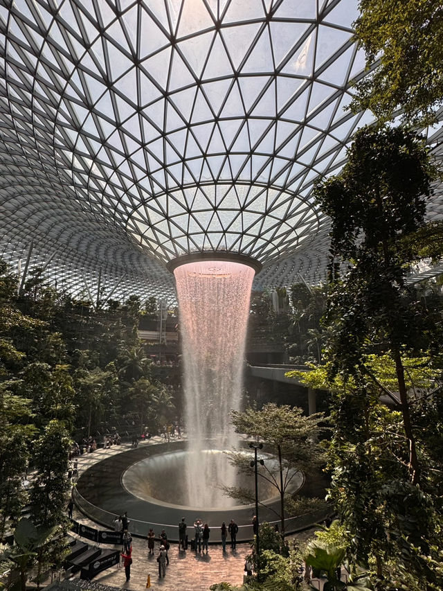 A Day at Jewel & Changi Airport: Solo Singaporean Off Day Itinerary