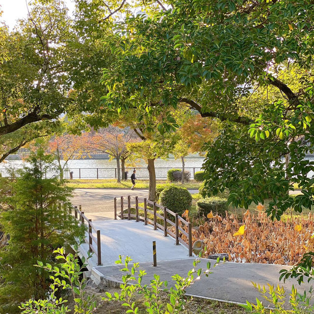 天神中央公園～美麗河濱🍂🎶
