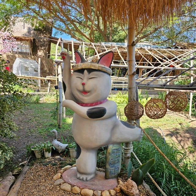 ชิราคาวาโกะ คาเฟ่ คาเฟ่สวยน่าเที่ยว