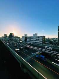 Tranquility in Tokyo: Hatagaya’s Hidden Charm