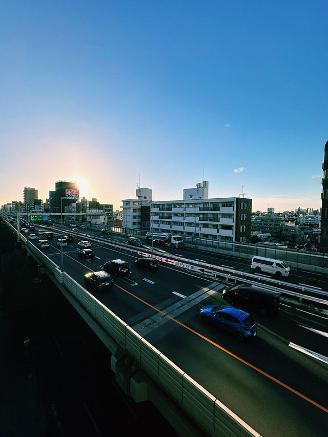 Tranquility in Tokyo: Hatagaya’s Hidden Charm