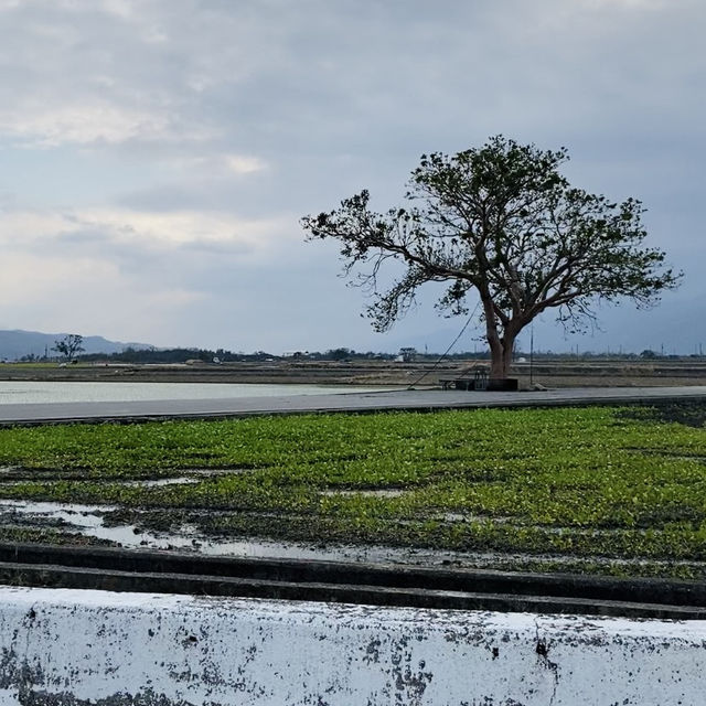 冬日田野漫遊-靜謐又美的旅程
