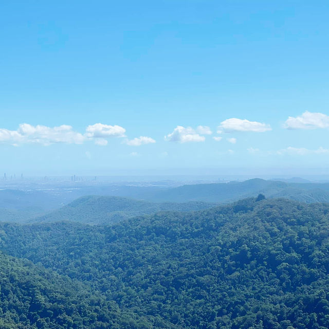 Nature’s Paradise at Springbrook National Park 🇦🇺