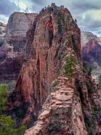 A Journey Through Stone and Sky – My Outdoor Adventure in Zion National Park 