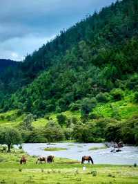 Uncover the Beauty of Pudacuo National Forest Park