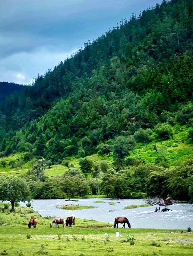 Uncover the Beauty of Pudacuo National Forest Park