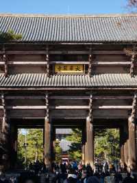 大阪行程｜周邊一日遊｜興福寺與東大寺