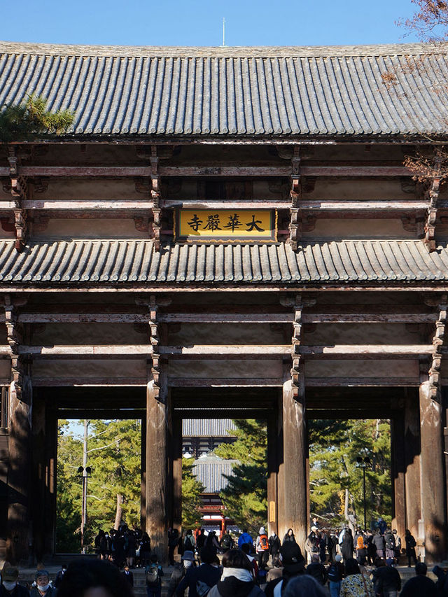 大阪行程｜周邊一日遊｜興福寺與東大寺