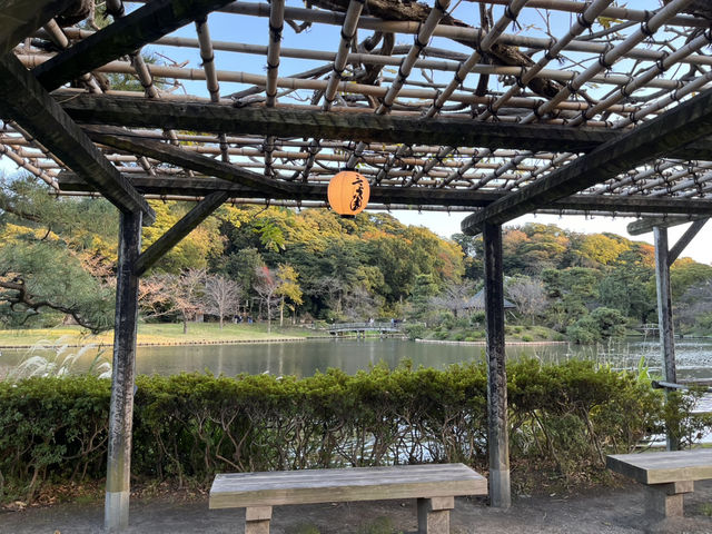 様々な顔がある日本庭園〜三渓園〜@横浜