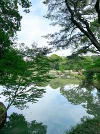 桜、紅葉、アジサイ…四季を感じられる東京の庭園