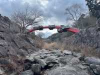 知られざる山奥に不思議な世界が広がっていた。